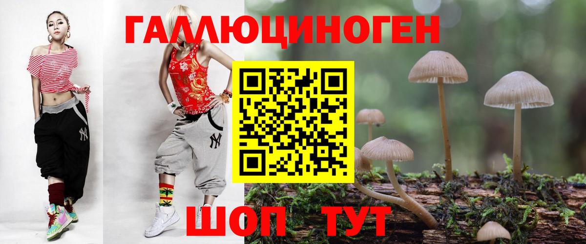 Галлюциногенные грибы GOLDEN TEACHER Тверь